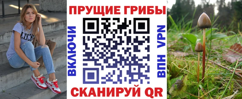 Купить закладки  Сосенский  Галлюциногенные грибы Psilocybine cubensis 